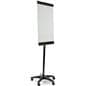 Rolling Whiteboard Stand