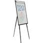Whiteboard Tripod