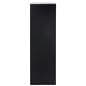 Modern Display Pedestal with Shoes