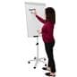 Mobile dry erase board with ghost resistant surface