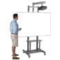 Interactive Whiteboard Stand in Use