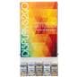 Hanging 24” x 36” Poster Frame with Adjustable Literature Pocket