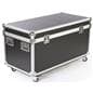 Storage case with wheels and handles