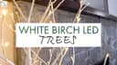 White Birch LED Trees