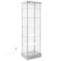 21.5" Glass Display Case with 5 Shelves, Top Lights, Wheels, Hinged Door - Silver