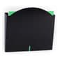 12”w Hanging File Holder, Single Pocket, Wall Mount, Steel, HIPAA Compliant - Black