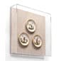 Wall Mounted Exhibit Case w/ Linen Backing, Acrylic Vitrine - Tan