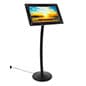 21.5” Floor Standing Digital Display with Audio, Video and Photo - Black