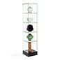 15" or 31" Glass Display Case w/Hinged Door, 4 Fixed-Height Shelves, Frameless