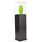 13"w Pedestal Display Case, Locking Acrylic Top - Black