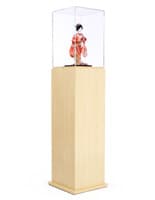 Pedestal Display Case: With Acrylic Top & MDF Stand display case