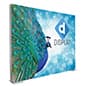 Trade Show Backdrop w/ Custom Printed SEG Graphics, Single or Double Sided