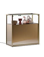 Showcase counter with storage