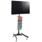 TV Stand w/ Wheels, For 32"-47" Screens, Height-Adjustable, 4-Pocket Lit Rack – Black