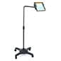 Adjustable Floor Stand with Wheels, L-Arm - Black