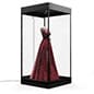 Mannequin Display Case with LED Top Lights and Locking Door - Black